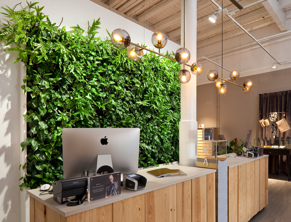 Et moderne kontorreceptionsområde har en DECOPLANT-grøn plantevæg bag et træskrivebord med computer og printer, mens sfæriske pendellamper hænger fra loftet for at oplyse rummet.