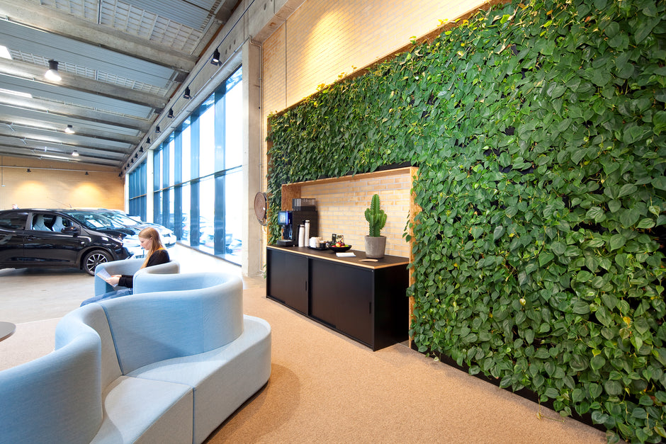 DECOPLANTs pulserende grønne potteplanter udstilles på hylder og i papkasser inde i et lyst drivhus. Et centralt skilt læser "Growing with Purpose", og belysning viser det frodige, sunde løv.