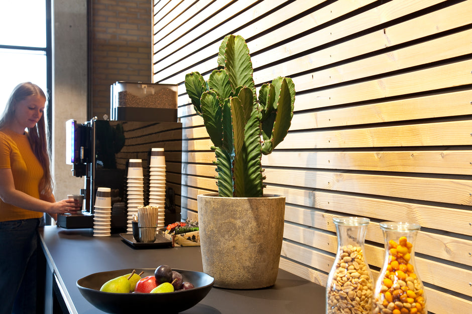 En kvinde skænker kaffe fra en maskine i et moderne rum med træpanelvægge. På disken står DECOPLANT stablede kopper, en stor pottekaktus, en frugtskål og glaskrukker fyldt med nødder og gule snacks.