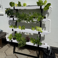 Indlæs billede i gallerivisning, Hydroponisk dyrkningssæt til salat og krydderurter – inkl. frøpakke