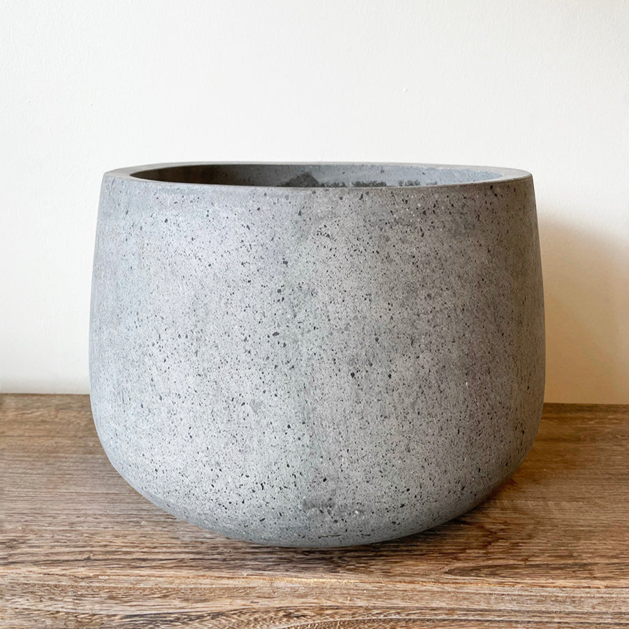 Lave COAL-krukke i grå beton med mål Ø50 x H32 cm, ideel til indendørs og udendørs brug, præsenteret med dekorative planter.