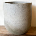 Indlæs billede i gallerivisning, COAL Krukke Ø65 x H70 cm - Elegant betonkrukke med rustik overflade, perfekt til indendørs og udendørs brug.
