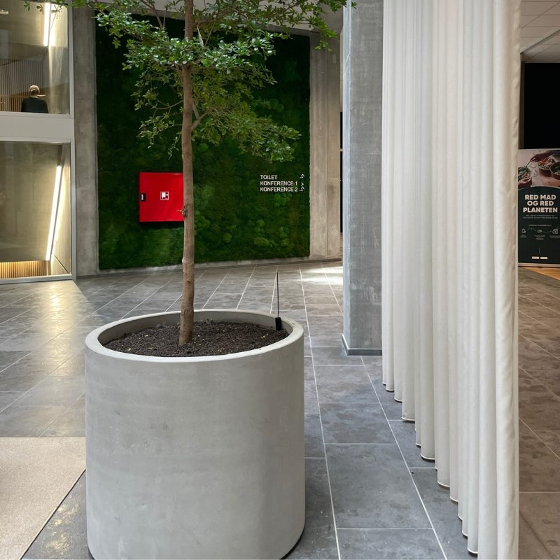 Stor CEMENT-krukke Ø75 x H80 cm til planter og træer med glat, matt overflade i rå grå beton.