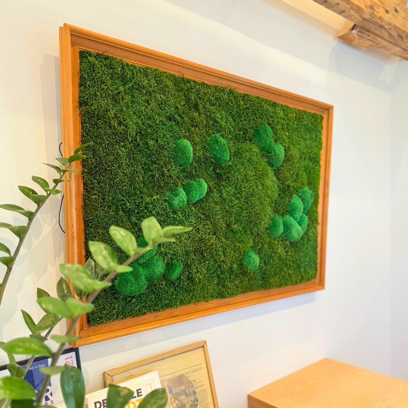 Mos Art 98 x 69 cm - Håndlavet bæredygtig naturkunst i genbrugt ramme, præsenteret i et stilrent hjem.