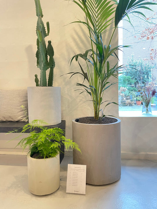 CEMENT-krukke Ø25 x H27 cm – elegant og glat mellemstor betonkrukke med minimalistisk design. Ideel til stue, altan eller kontor.