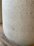 Indlæs billede i gallerivisning, COAL betonkrukke Ø50 x H55 cm i grå farve med rustikt look, fyldt med grønne planter som Ficus Lyrata, ideel til både indendørs og udendørs brug.