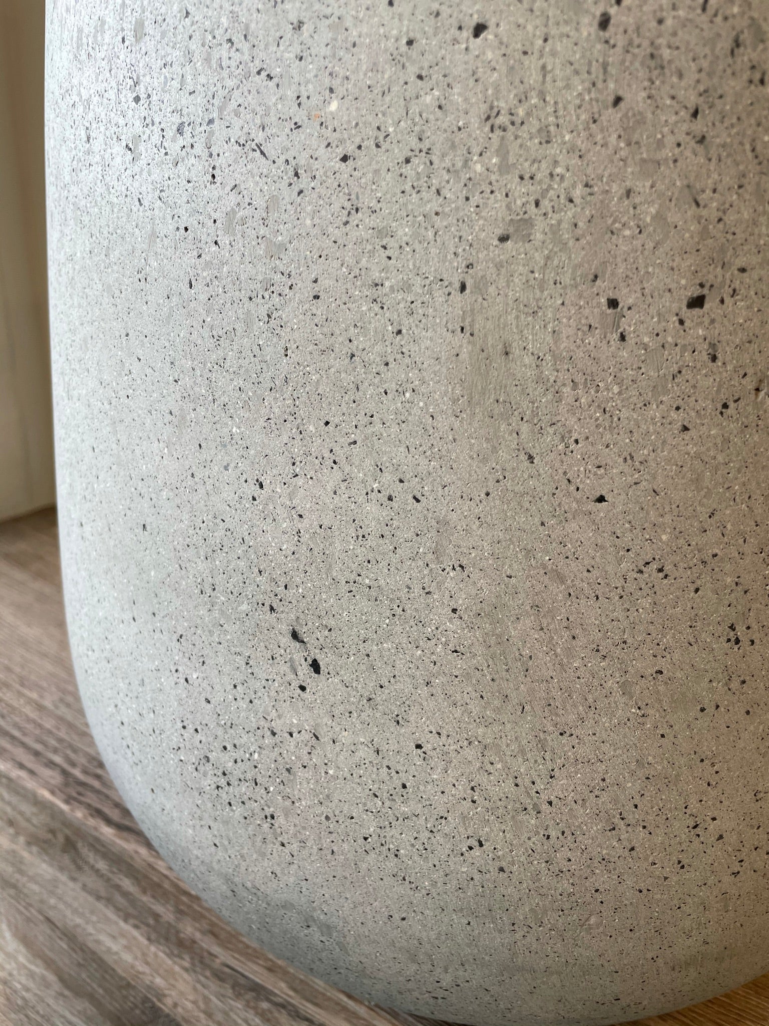 COAL betonkrukke Ø50 x H55 cm i grå farve med rustikt look, fyldt med grønne planter som Ficus Lyrata, ideel til både indendørs og udendørs brug.