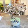 Indlæs billede i gallerivisning, Second Hand Lille Bonsai-Dekoration – Kunstig Plante i Skål fra Århus