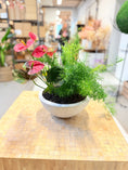 Indlæs billede i gallerivisning, Plantearrangement med Anthurium og Asparagus i skål – 47 cm