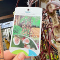Indlæs billede i gallerivisning, Second Hand Hængepiil – Salix caprea ‘Kilmarnock’ fra Århus