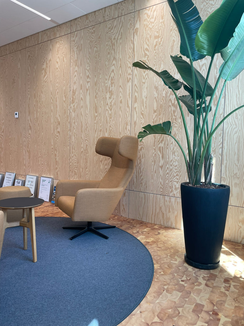 Et moderne loungehjørne har en DECOPLANT solbrun lænestol, et kompakt rundt bord, indrammede certifikater på gulvet og en høj potteplante, sat på trægulv med et blåt cirkulært tæppe og væg med lys træpanel.