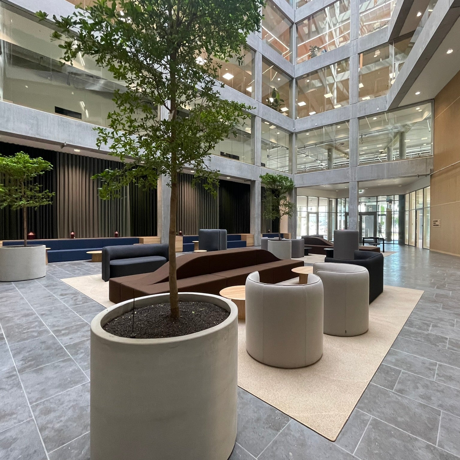 CEMENT Krukke Ø75 x H80 cm fra DECOPLANT - stor, stilren betonkrukke til planter og små træer, egnet til både indendørs og udendørs brug.