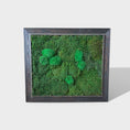 Indlæs billede i gallerivisning, Grønt kunstværk lavet af ægte konserveret mos i en unik genbrugt ramme, 78x68 cm, der tilføjer bæredygtig skønhed til dit hjem.
