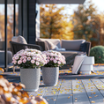 Indlæs billede i gallerivisning, Chrysantemum – store kugleformede efterårsblomster i valgfri farve