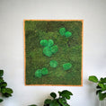 Indlæs billede i gallerivisning, Håndlavet mosbillede i genbrugt ramme, der viser konserveret mos i naturlige nuancer, mål 65 x 64 cm, designet til at skabe en grøn og unik stemning i ethvert rum.