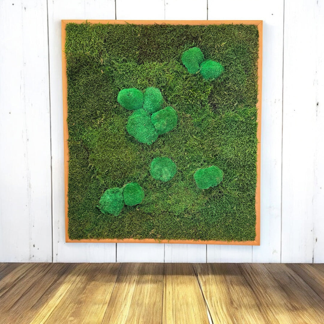 Håndlavet Mos Art-billede 65x64 cm i genbrugt ramme med konserveret mos – bæredygtig vægkunst fra DECOPLANT