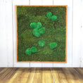 Indlæs billede i gallerivisning, Håndlavet Mos Art-billede 65x64 cm i genbrugt ramme med konserveret mos – bæredygtig vægkunst fra DECOPLANT