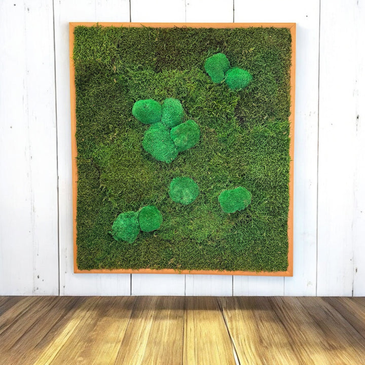 Håndlavet Mos Art-billede 65x64 cm i genbrugt ramme med konserveret mos – bæredygtig vægkunst fra DECOPLANT