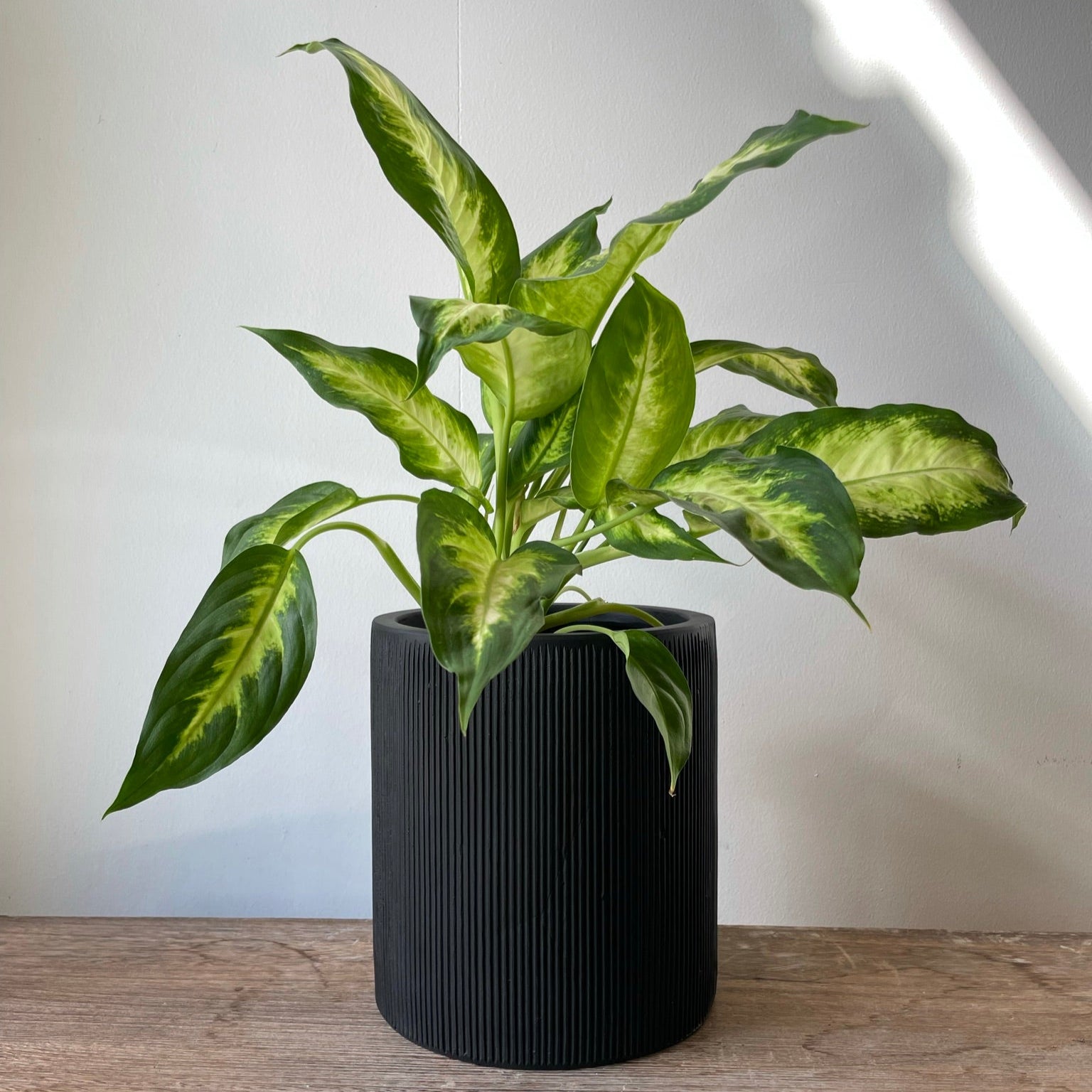 Elegant rund LIGHT krukke i matsort, Ø20 x H22 cm, med lodrette riller, perfekt til indendørs og udendørs brug.