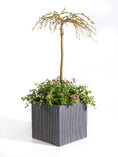 Indlæs billede i gallerivisning, LIGHT krukke 40x40x40 cm i matsort design med lodrette riller, ideel til mellemstore planter og moderne indretning, perfekt til både indendørs og udendørs brug.
