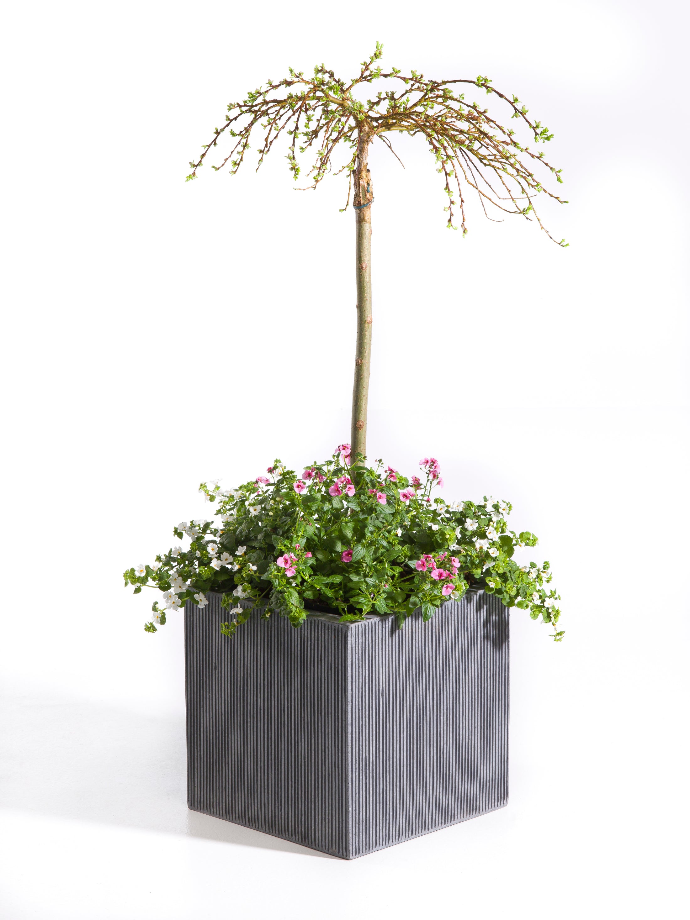 LIGHT krukke 40x40x40 cm i matsort design med lodrette riller, ideel til mellemstore planter og moderne indretning, perfekt til både indendørs og udendørs brug.