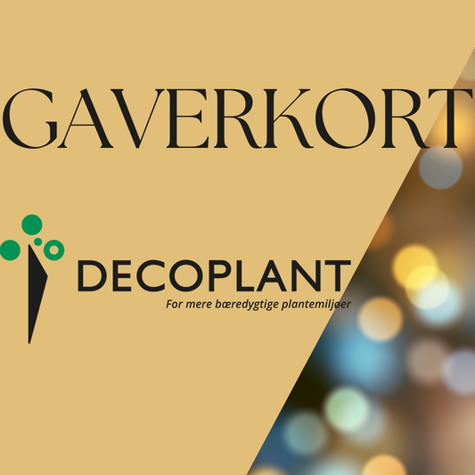 Gavekort til Decoplant – den grønne gave, der altid passer