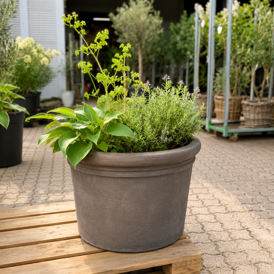 Stor Italiensk Terracottakrukke med Sommerbeplantning – Benocci Toscana