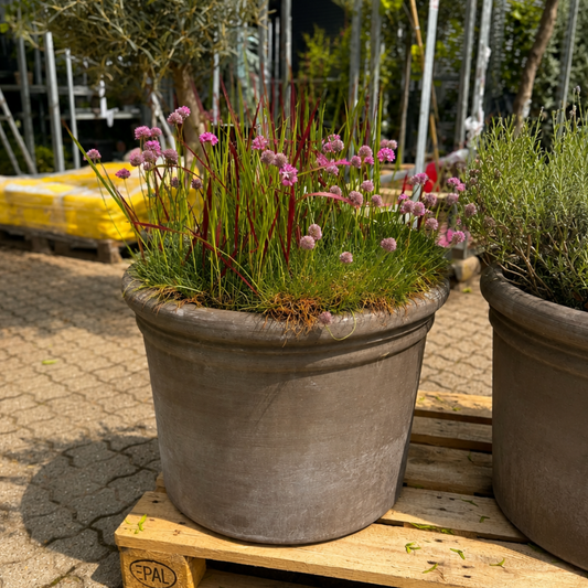 Benocci Toscana Krukke med Prydgræs og Rosa Blomster – Frisk og Sommerlig Terrassebeplantning