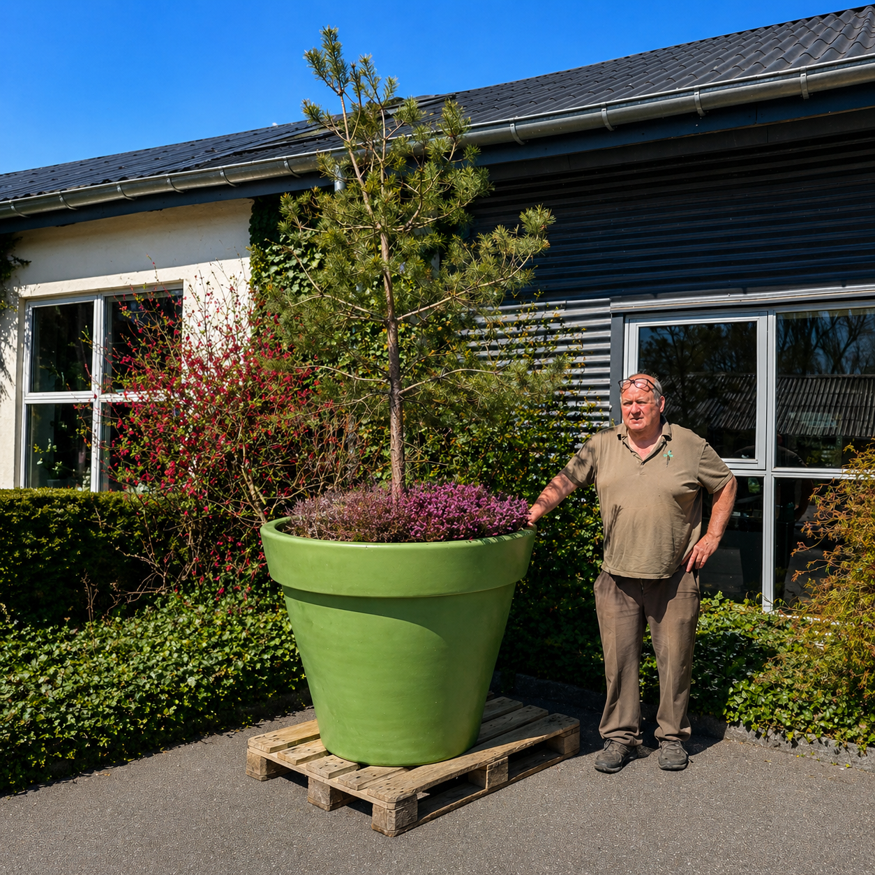 Second Hand Havekumme – Fyr, Lyng, Rød Busk og Efeu i Stor Plastkumme