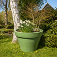 Indlæs billede i gallerivisning, Second Hand Stor Krukke – Japansk Løn, Narcisser og Bundbeplantning
