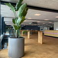 Indlæs billede i gallerivisning, Større betonkrukke fra DECOPLANT med målene Ø90 x H80 cm, ideel til store planter og træer, fremhævet i mat grå finish.
