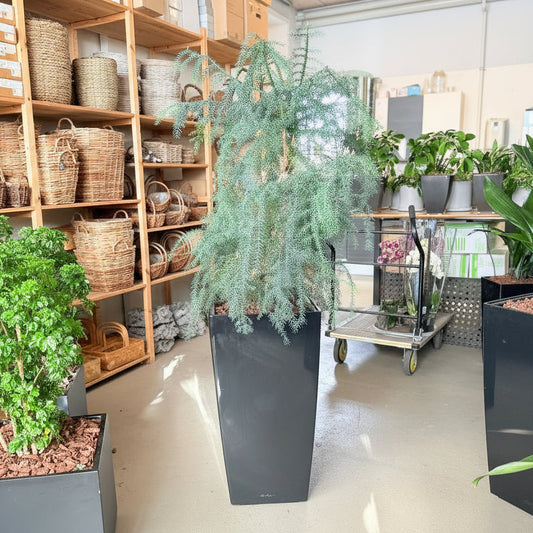 Second Hand Stuegran – Skulpturel Genbrugsplante 160 cm