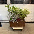 Indlæs billede i gallerivisning, Udendørs plantekumme i cortenstål – 115 cm høj (inkl. planter)
