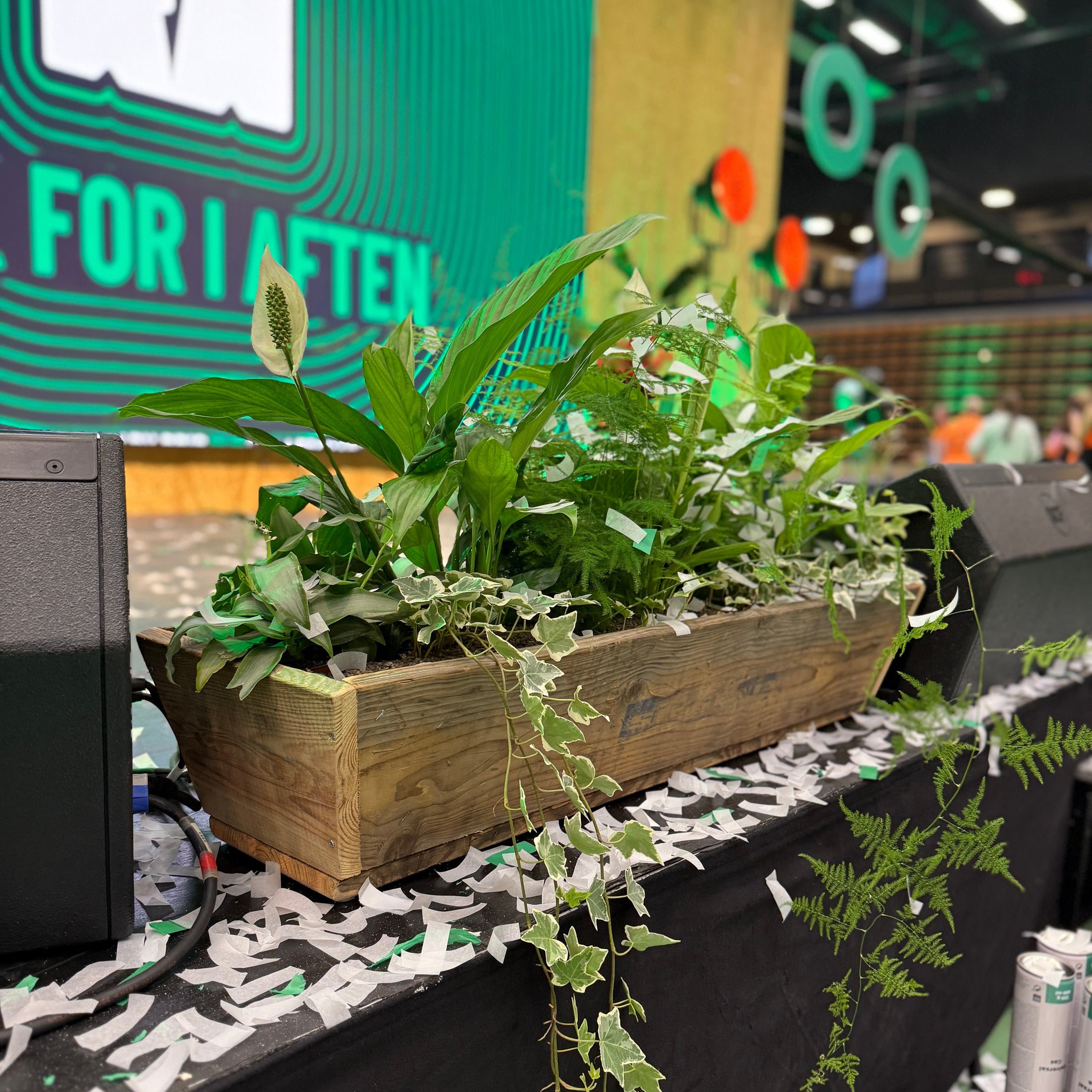 Scenegrøn – plantekasse fra Randers Business Awards 2 stk på lager