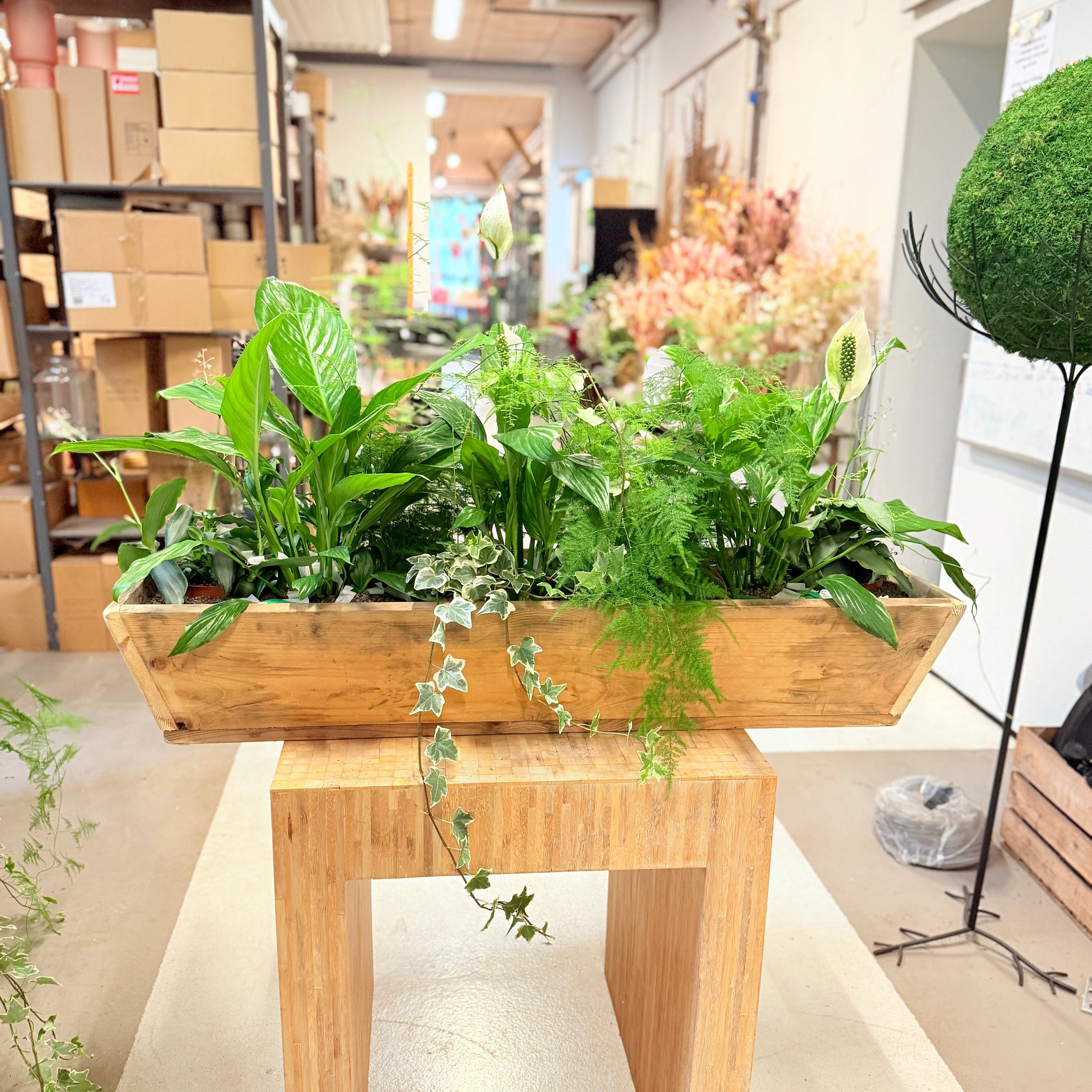 Scenegrøn – plantekasse fra Randers Business Awards 2 stk på lager