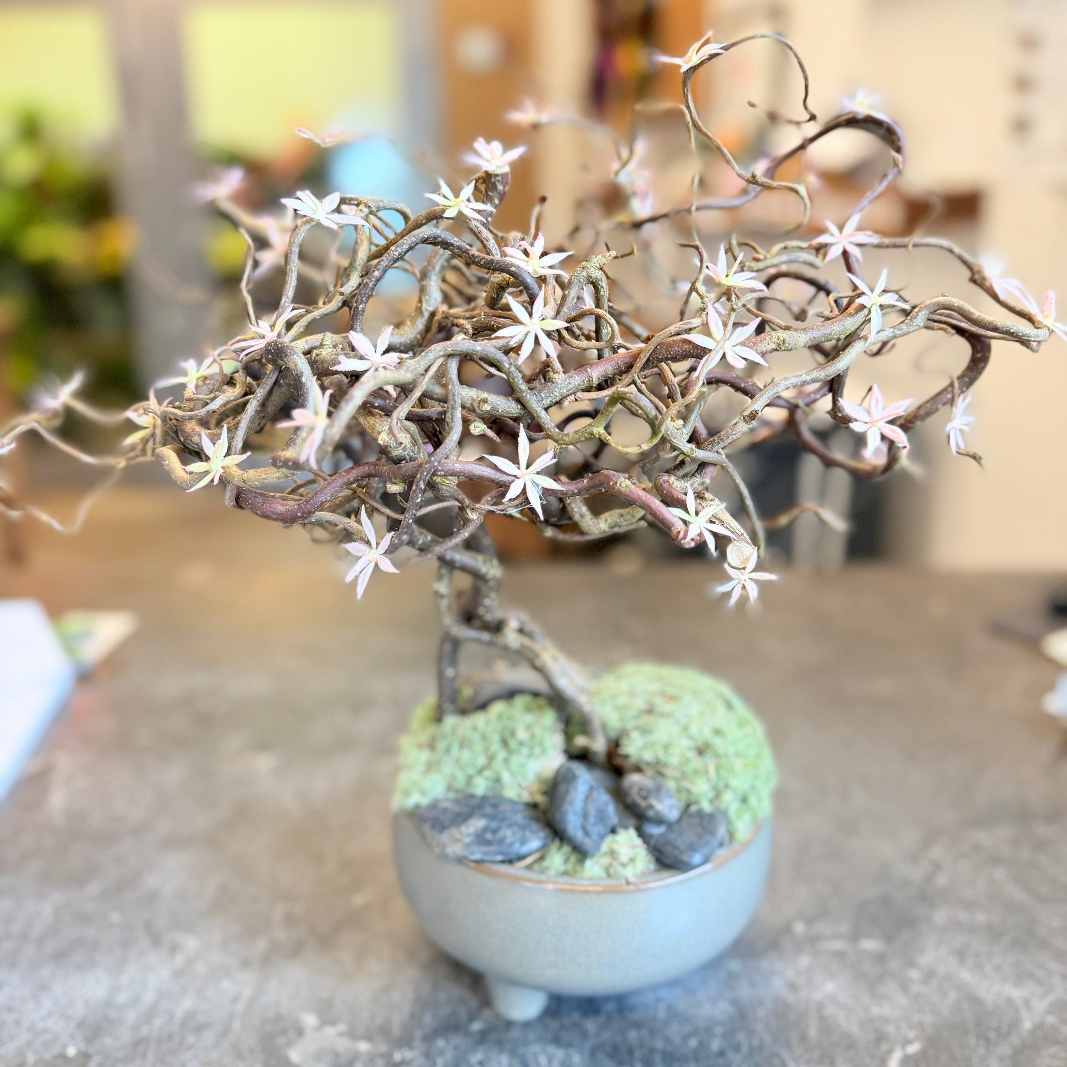 Second Hand Lille Bonsai-Dekoration – Kunstig Plante i Skål fra Århus