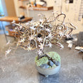 Indlæs billede i gallerivisning, Second Hand Lille Bonsai-Dekoration – Kunstig Plante i Skål fra Århus
