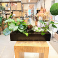 Indlæs billede i gallerivisning, Plantearrangement i sort metal – 80×16×50 cm inkl. planter
