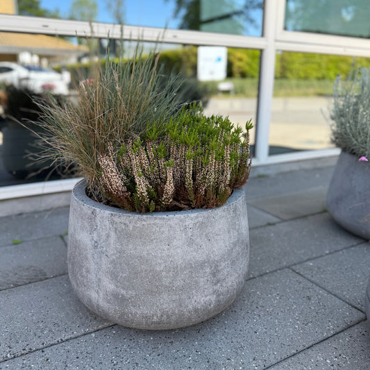 Udendørs samplantning i cementkrukke ca. 70 cm. høj