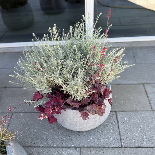 Udendørs samplantning i cementkrukke