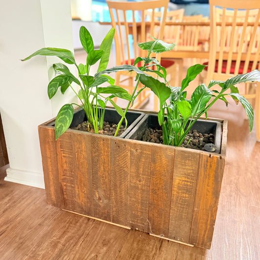 Plantekasse med Fredslilje og Aglaonema