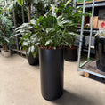 Indlæs billede i gallerivisning, Spathiphyllum (Fredslilje) i høj sort krukke
