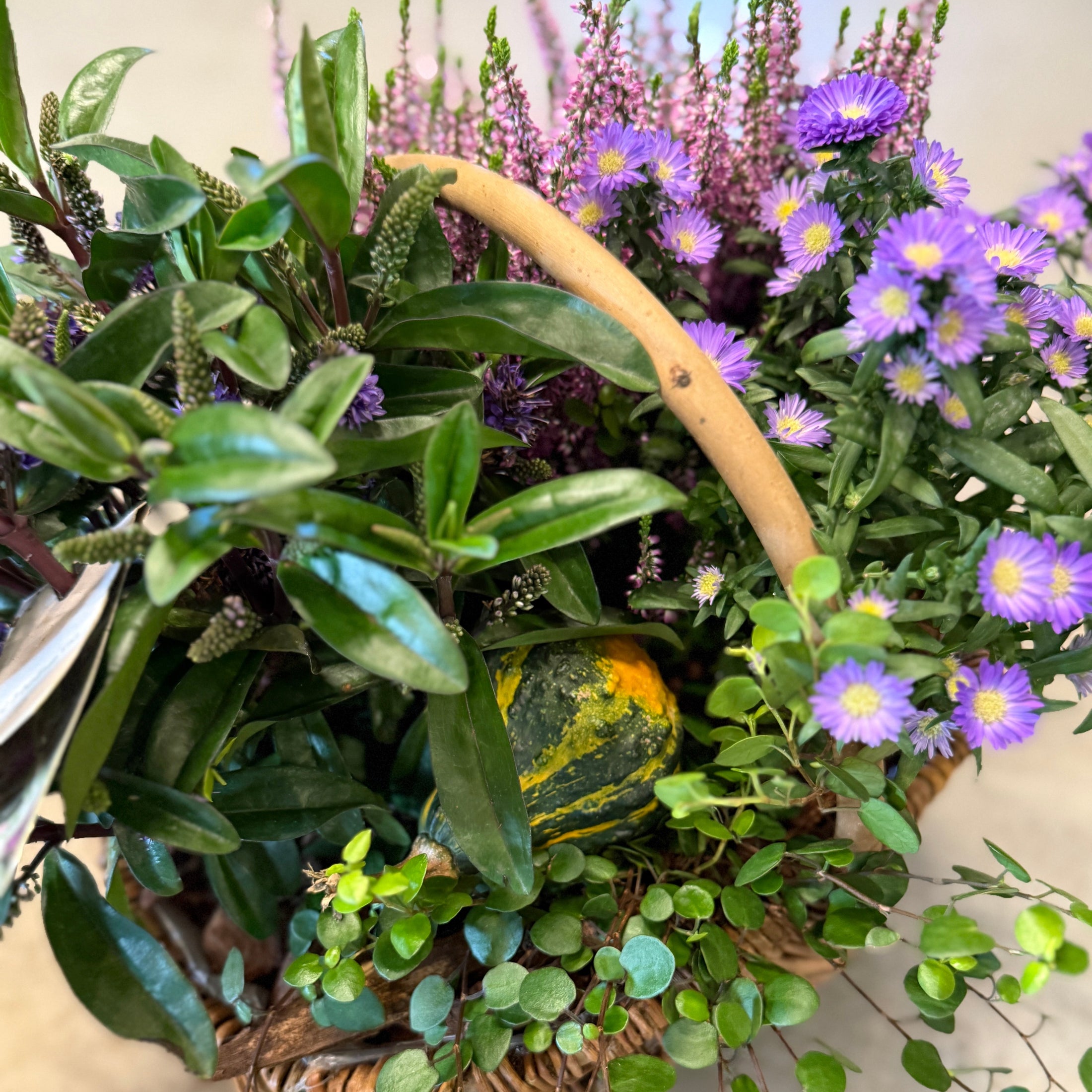 Efterårskurv med Hedelyng, Asters, Hebe og grønne planter – Unik blandingskurv