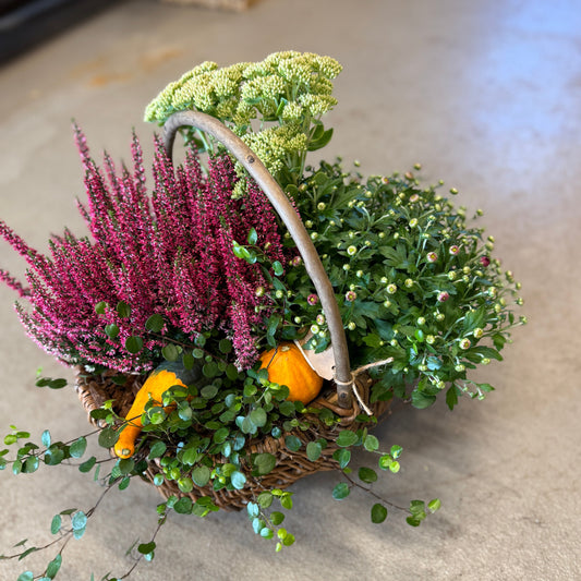 Efterårskurv med Calluna, Chrysanthemum, Sedum og pyntegræskar – Unik blandingskurv
