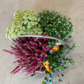 Indlæs billede i gallerivisning, Efterårskurv med Calluna, Chrysanthemum, Sedum og pyntegræskar – Unik blandingskurv

