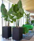 Indlæs billede i gallerivisning, Høj kubeformet krukke 40x40x60 cm i matsort fra DECOPLANT – elegant plantekumme med lodrette striber, ideel som blikfang til større grønne planter.
