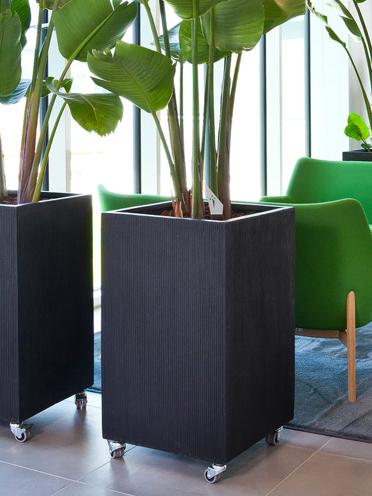 Hjul til krukker med 50 mm diameter fra Decoplant, designet til let montering under LIGHT-serien for mobilitet og fleksibilitet.